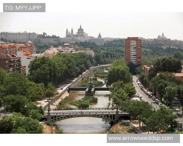 昔日辉煌如今黯淡外国足球明星为何逐渐没落的深层原因探讨